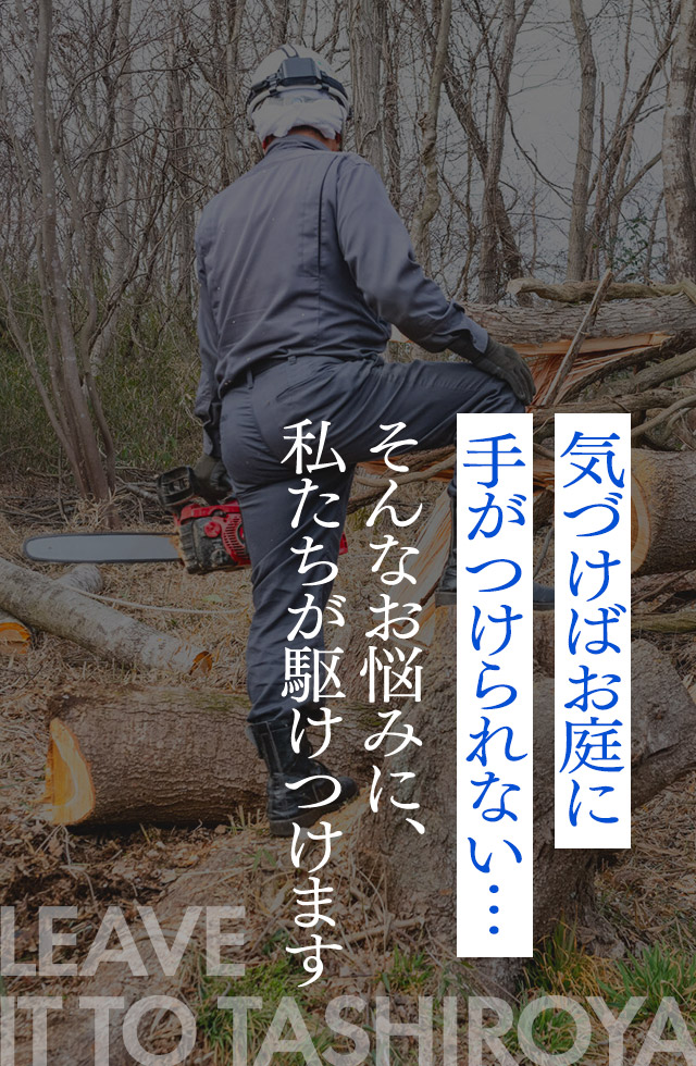 気づけばお庭に手がつけられない・・・・ そんなお悩みに、私たちが駆けつけます